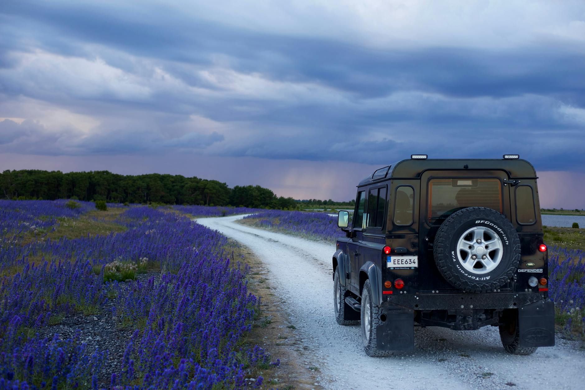 Mietwagen auf Gotland
