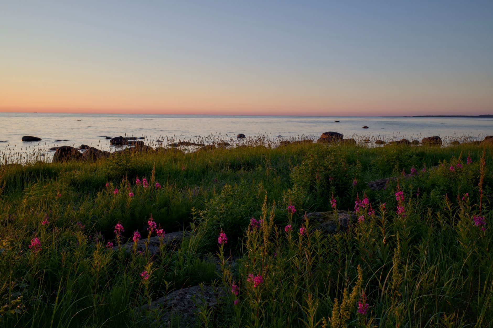 Natur & Landschaft auf Gotland