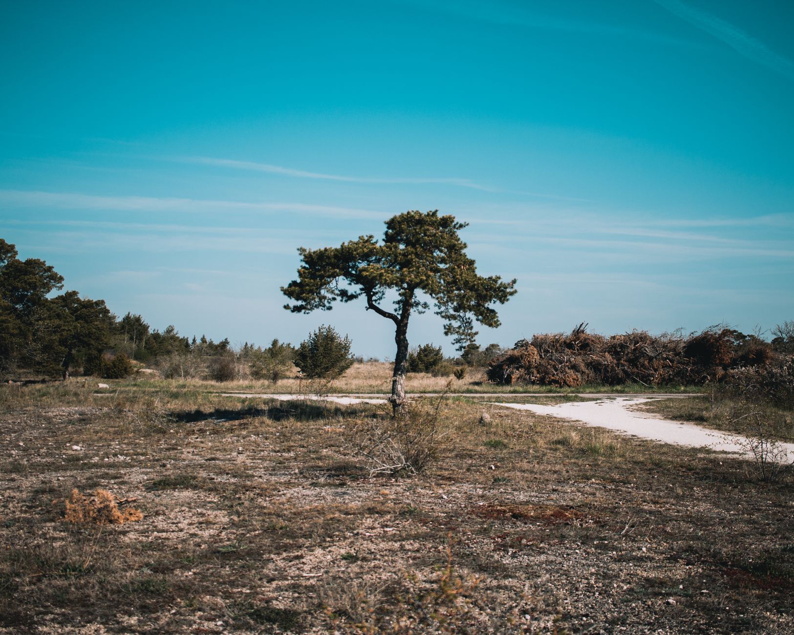 Gotland-Reiseinfos