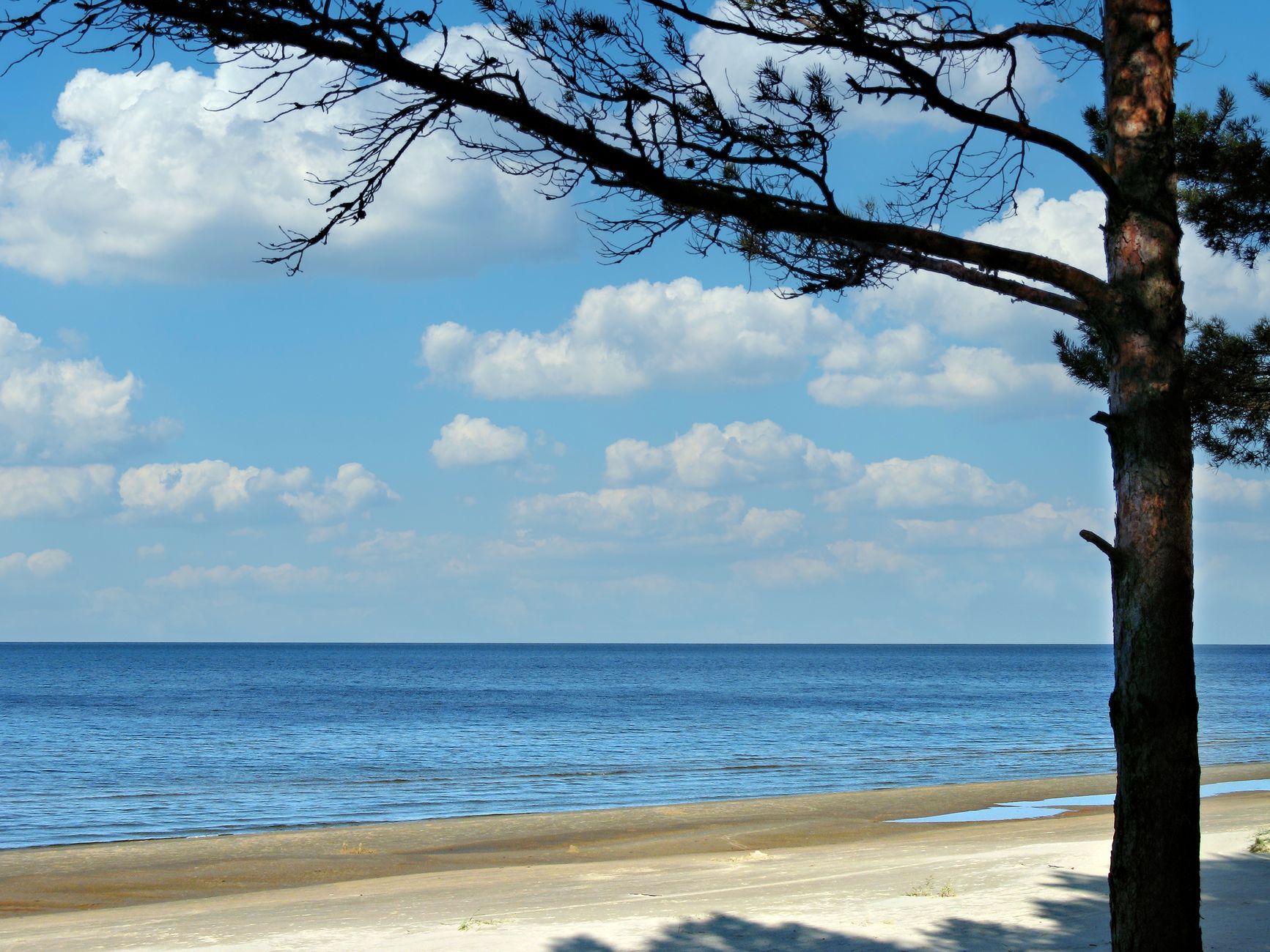Wetter & beste Reisezeit für Gotland