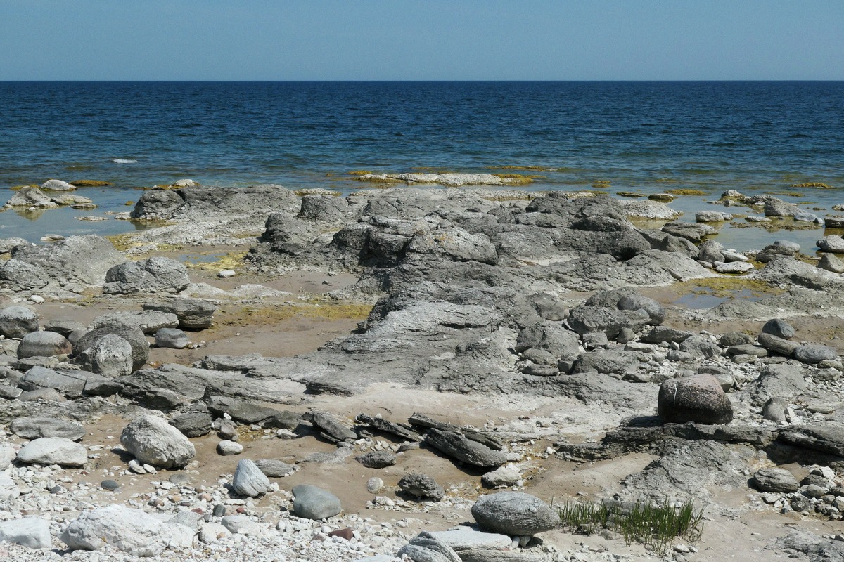 Raukar an Gotlands Ostseeküste